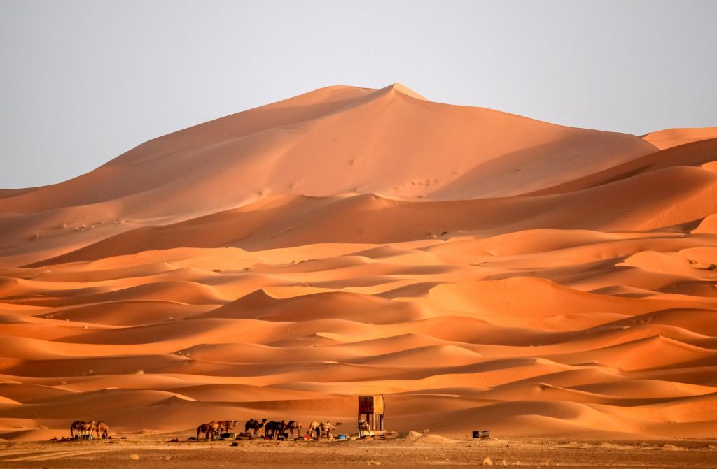 Berber homes at the foot of stunning sand dunes of Merzouga, 10 Days from Marrakech Morocco Wonders