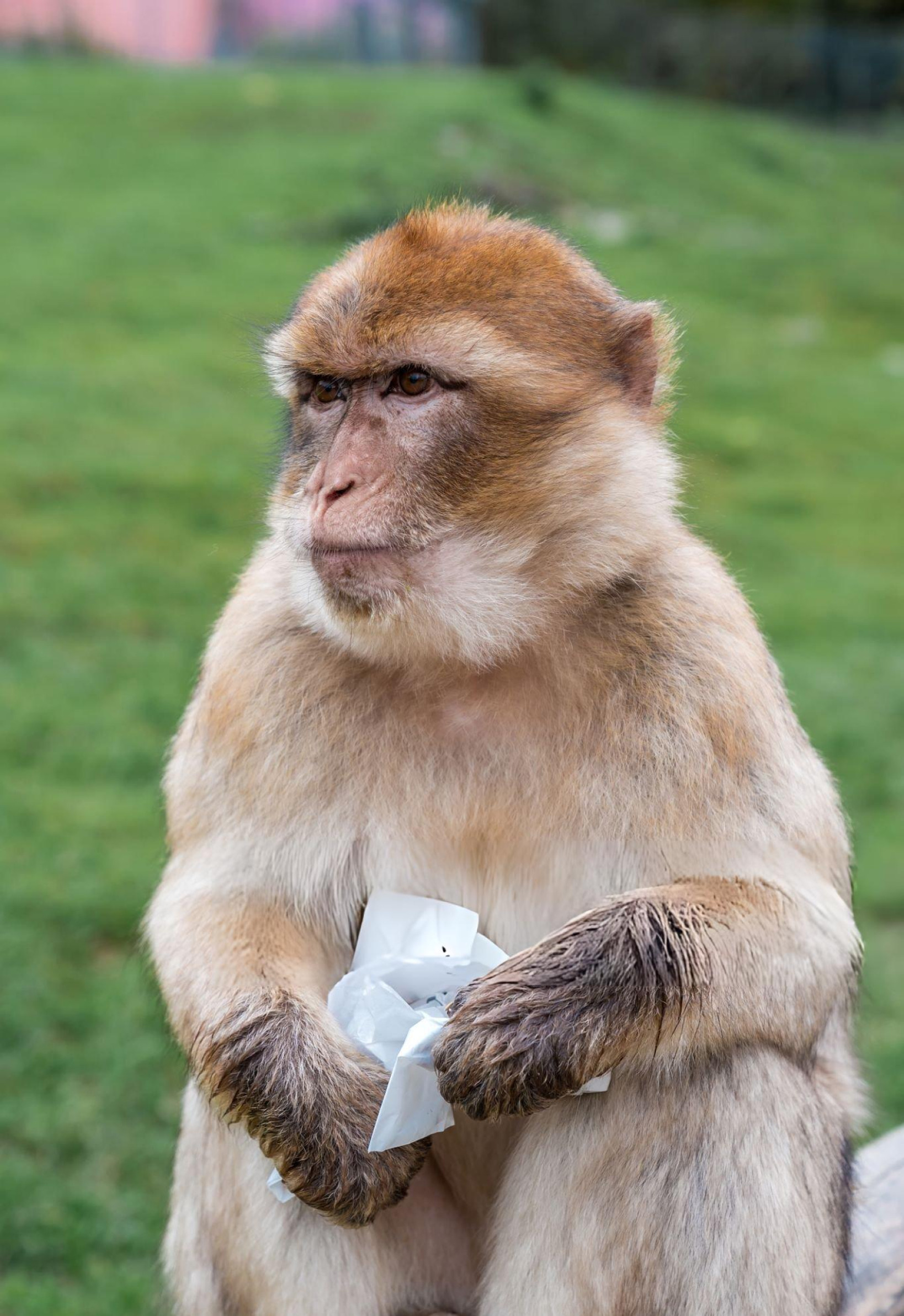 Excursión a las Cascadas de Ouzoud