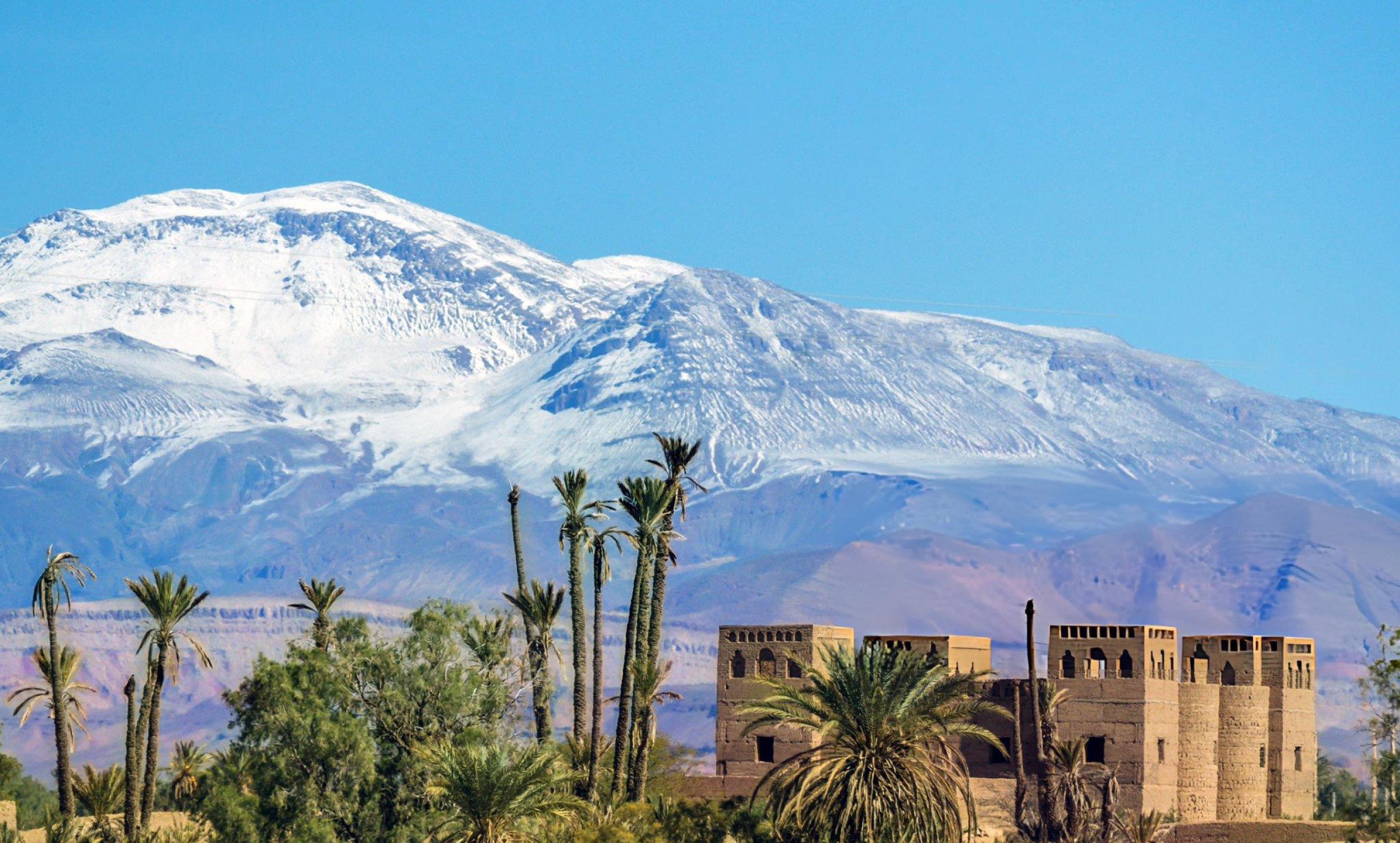 Caravana de camellos al atardecer en el desierto del Sáhara