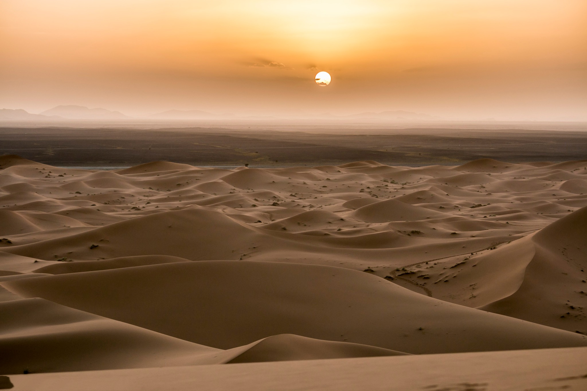 Excursión en 4x4 por el desierto