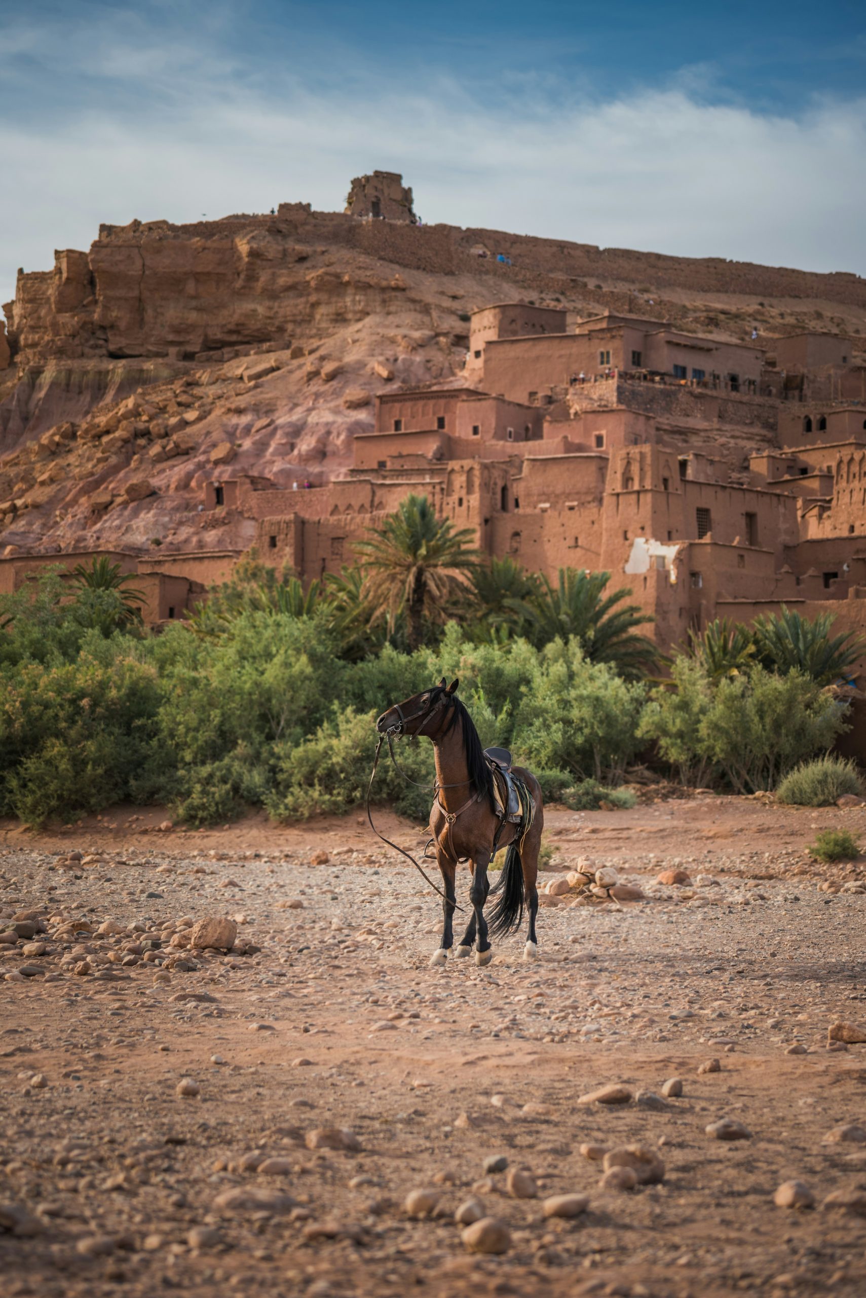 Gargantas del Todra, cañón imponente en el sur de Marruecos