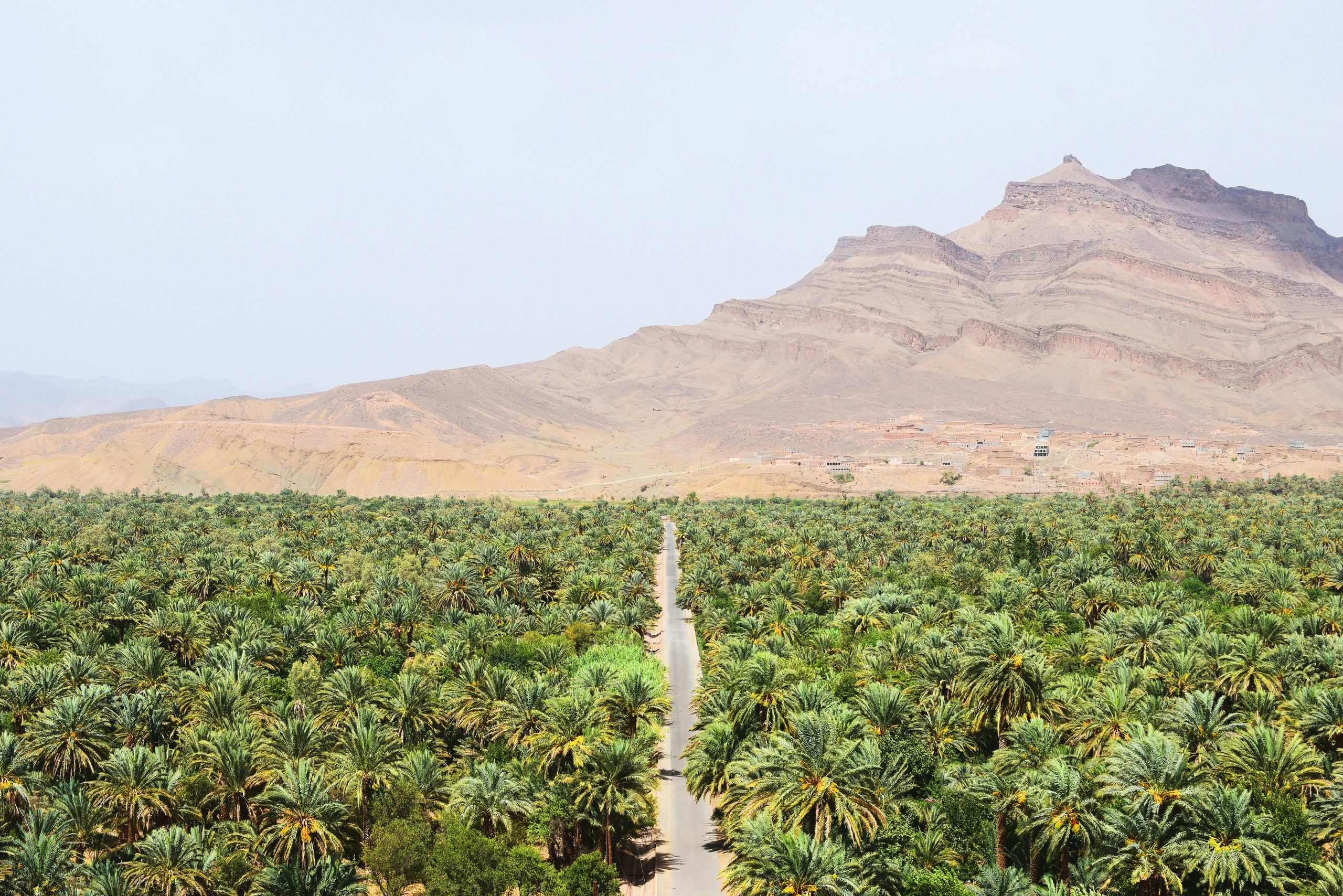 Gargantas del Todra, cañón imponente en el sur de Marruecos