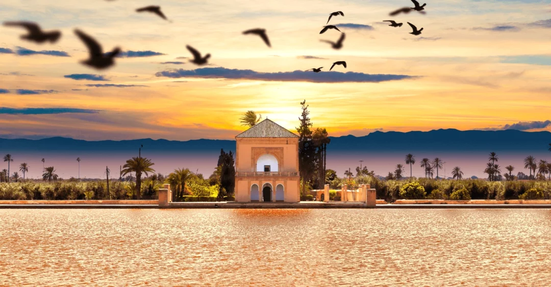 Las 4 Mejores Escapadas de un Día desde Marrakech: Rutas Privadas Imprescindibles