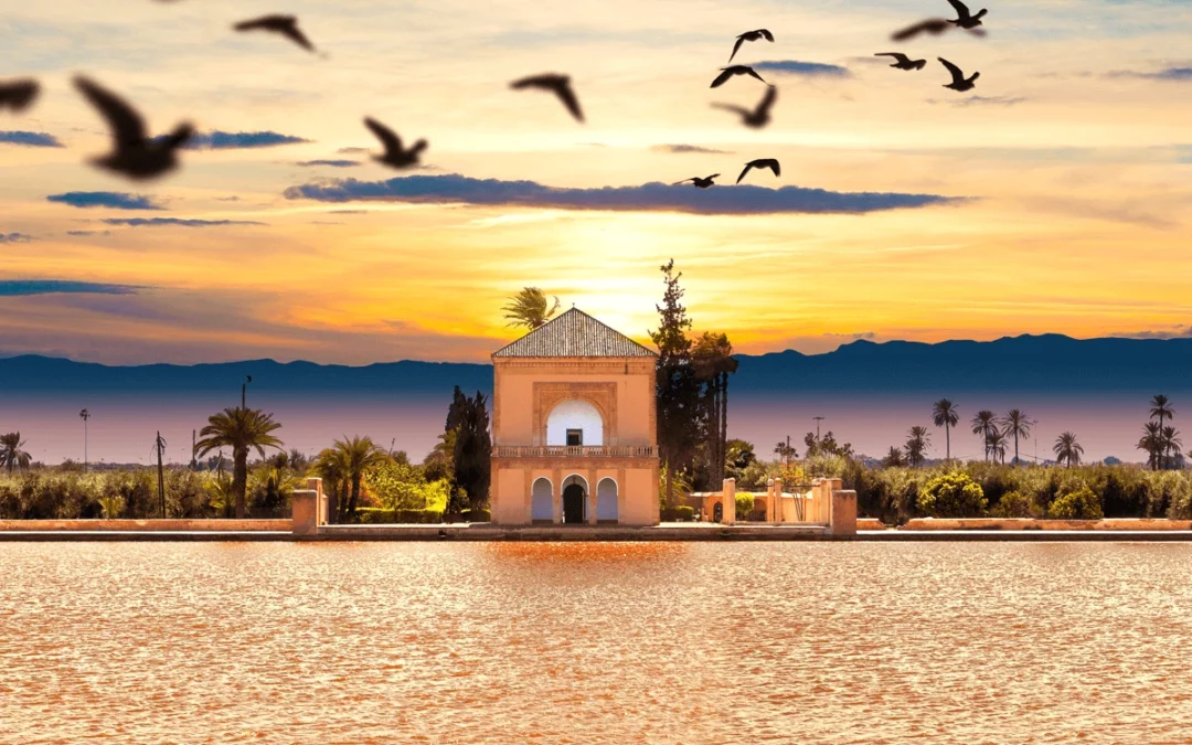 Las 4 Mejores Escapadas de un Día desde Marrakech: Rutas Privadas Imprescindibles