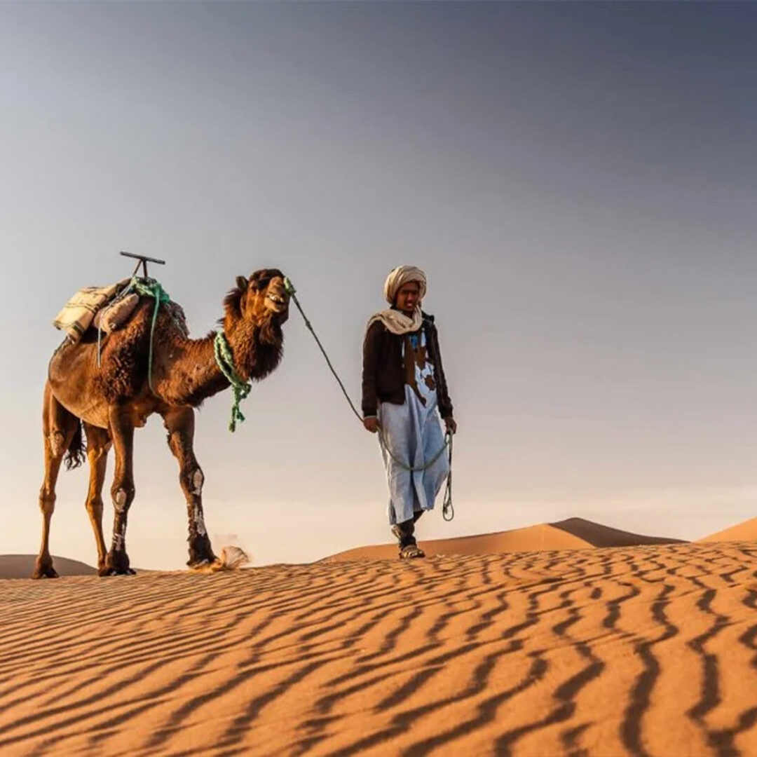 Tour del Desierto desde Fez de 6 Días: La Ruta Escénica por el Sahara y el Sur Marroquí