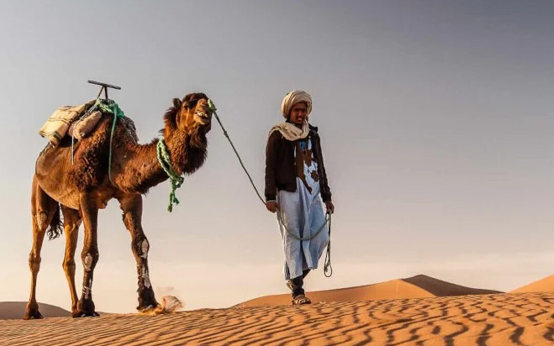 Tour del Desierto desde Fez de 6 Días: La Ruta Escénica por el Sahara y el Sur Marroquí