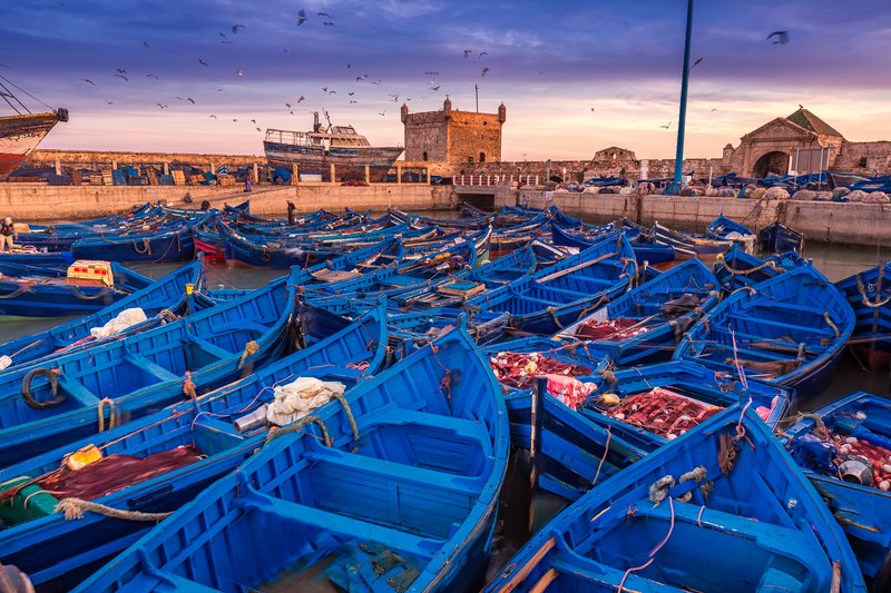 Excursión de un día a Essaouira desde Marrakech : Descubre la Perla del Atlántico