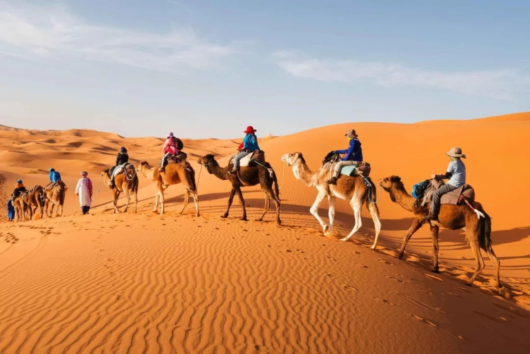 Paseo en camello por las montañas del Atlas desde Marrakech: Aventura Bereber en el Alto Atlas