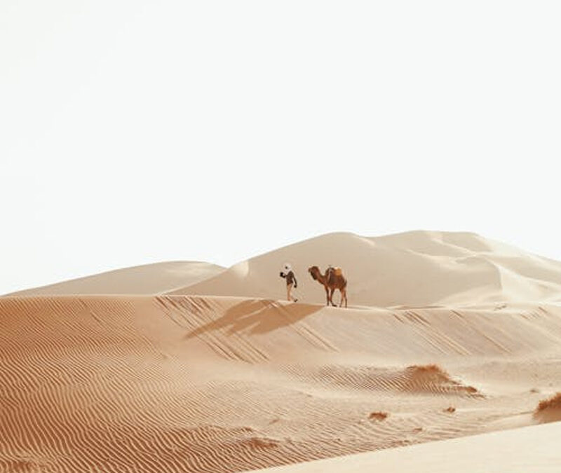 Tour de Marruecos de 12 Días: El Gran Circuito por Ciudades Imperiales, el Sahara y la Costa Atlántica