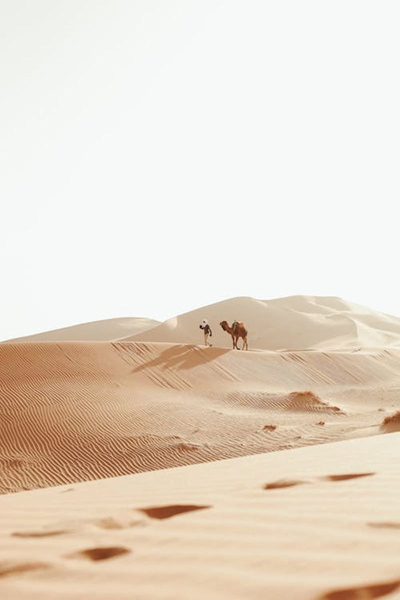 Tour de Marruecos de 12 Días: El Gran Circuito por Ciudades Imperiales, el Sahara y la Costa Atlántica