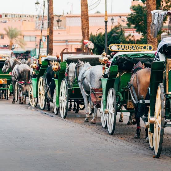 Paseo en calesa por Marrakech: Descubre la Ciudad Roja a un Ritmo Tradicional