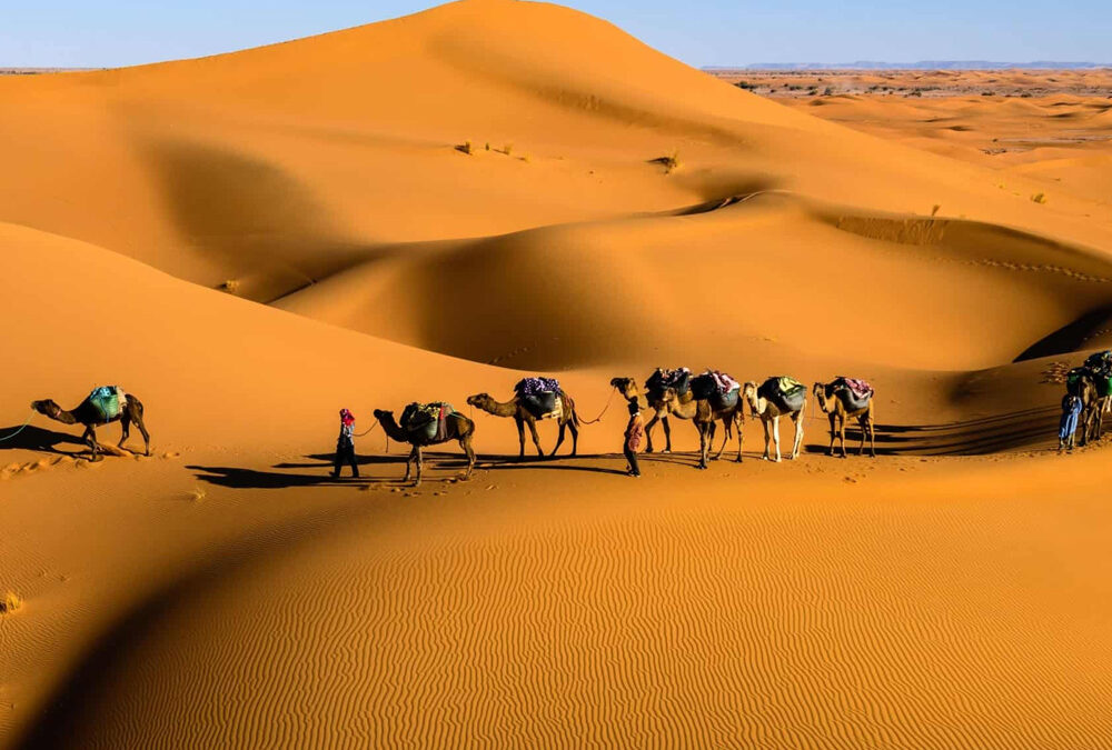 Tour del Desierto desde Fez de 8 Días: Descubre la Magia del Sahara, las Kasbahs y las Ciudades Imperiales