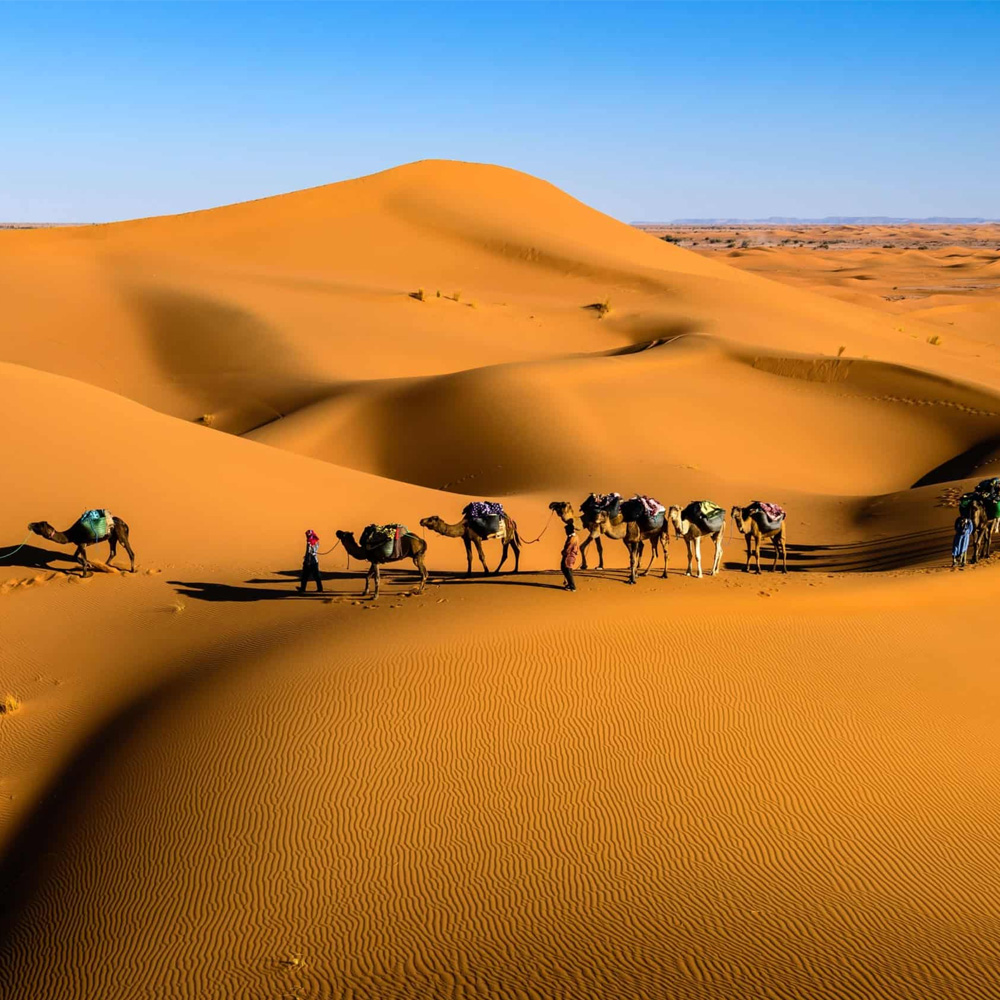Tour del Desierto desde Fez de 8 Días: Descubre la Magia del Sahara, las Kasbahs y las Ciudades Imperiales