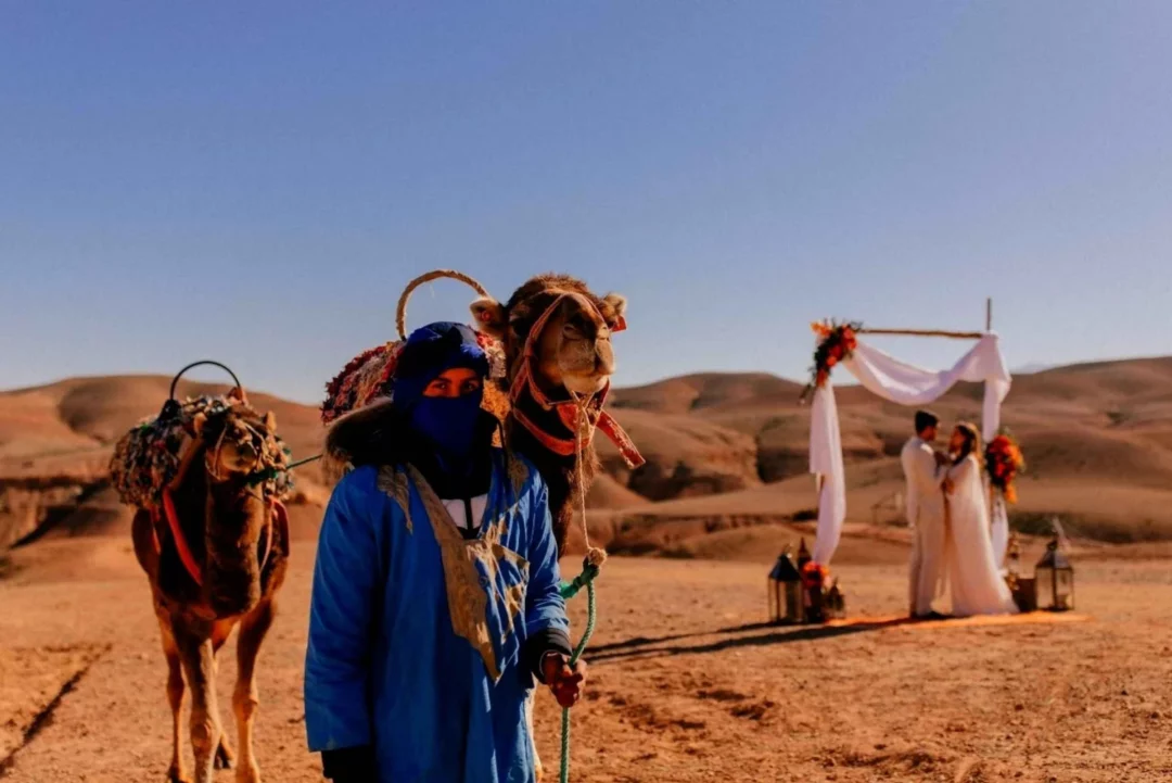 Paseo en camello por las montañas del Atlas desde Marrakech: Aventura Bereber en el Alto Atlas