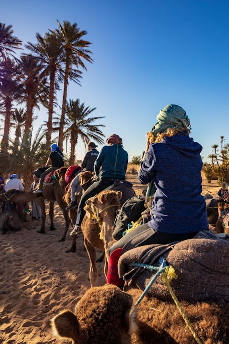 El Circuito Imperial y Sahariano: La Mejor Ruta de 7 días por Marruecos desde Casablanca