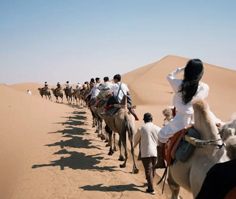 Tour del Desierto desde Marrakech de 12 Días: El Gran Circuito Imperial, Cultural y del Sahara