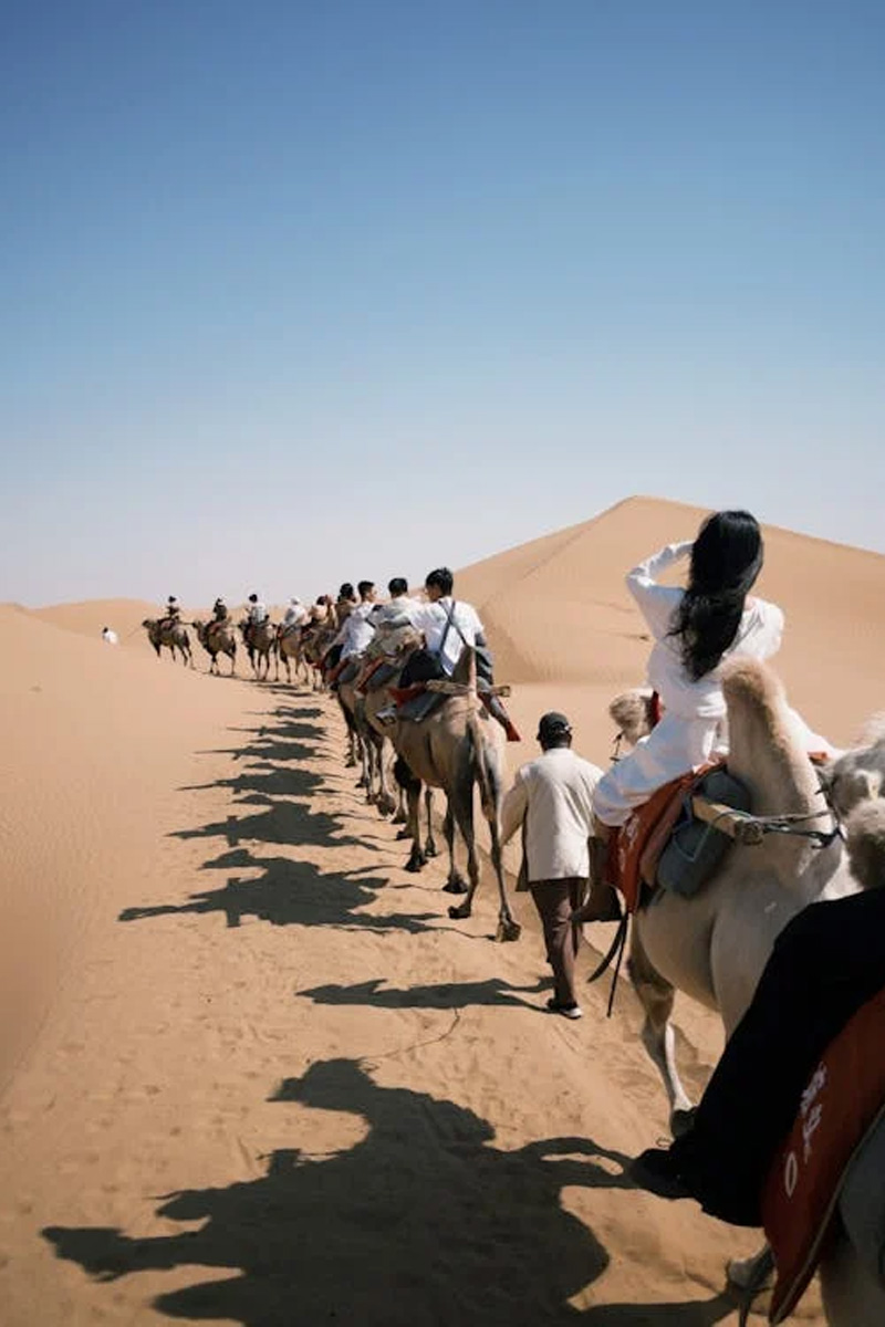 Tour del Desierto desde Marrakech de 12 Días: El Gran Circuito Imperial, Cultural y del Sahara