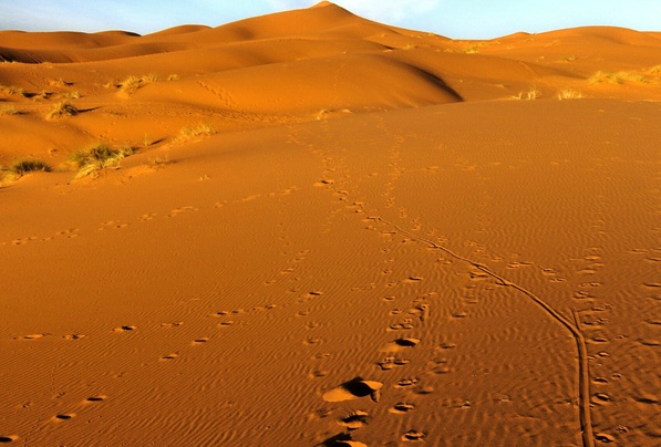 merzouga