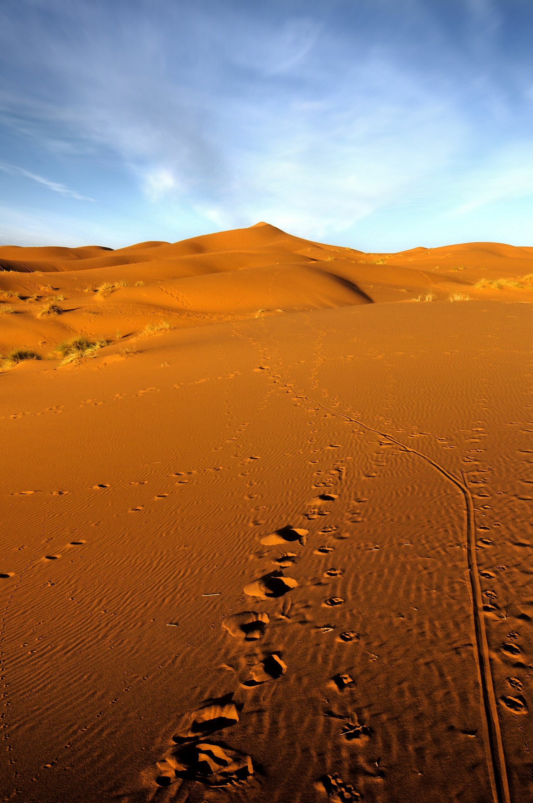 merzouga