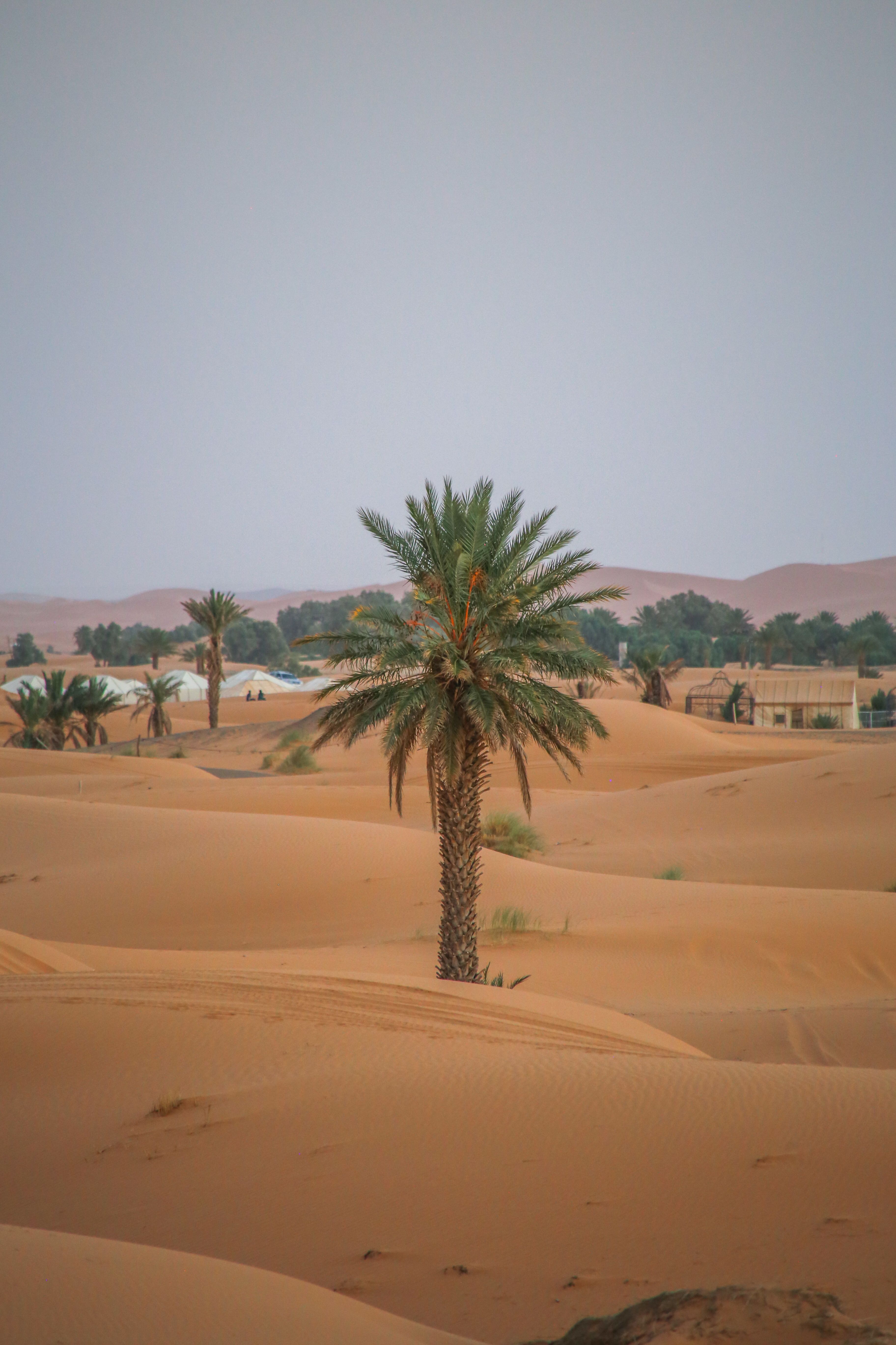 Merzouga